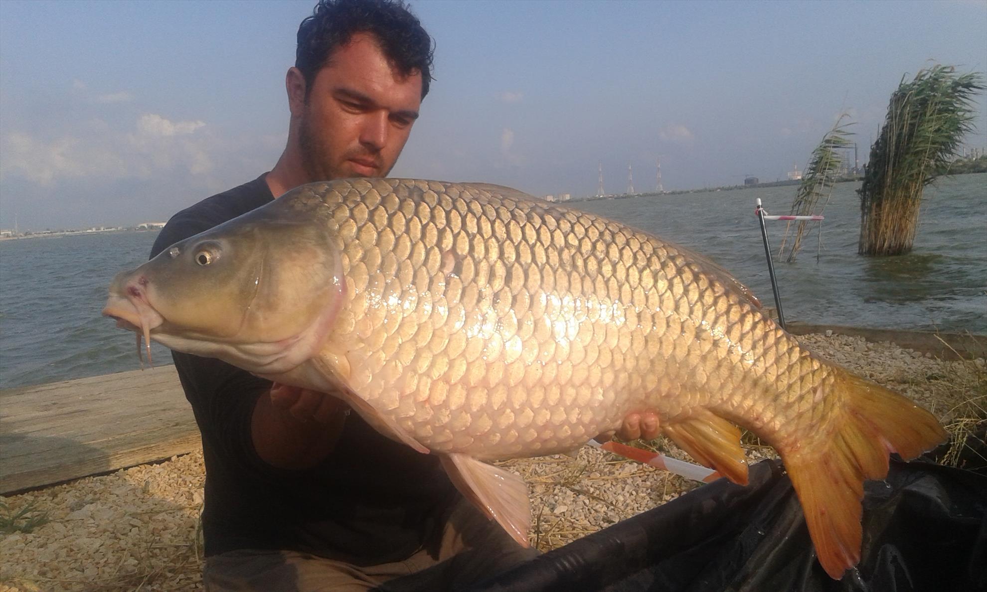 Corbu 3 - 5 iulie 2015 - 20150704185321.jpg